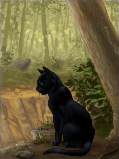 Laquelle de ces réponses est la bonne ?