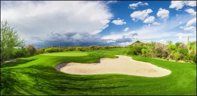 "Forrest Gump" est un film réalisé par Robert Zemeckis.