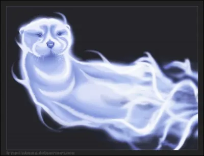 Mon Patronus est une loutre.