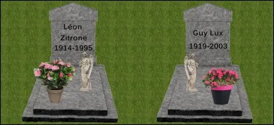 Si je vous dis : "On m'a cassé mes lunettes !". Quelle plante allez-vous choisir ?