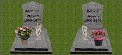 À l'enterrement d'une feuille morte, deux escargots s'en vont. Quelle plante allez-vous choisir ?