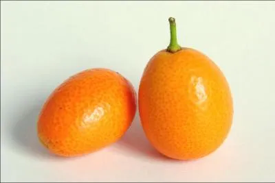 Le kumquat sont des fruits originaires ...