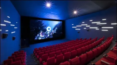 Vous &ecirc;tes un pur cin&eacute;phile ? Alors cette salle qui peut contenir jusqu'&agrave; 60 personnes est faite pour vous ! C'est une salle de...