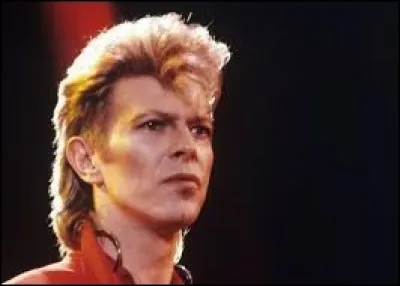 ''Ashes to Ashes'' est un titre de David Bowie. Que signifie le mot ''ashes'' en anglais ?