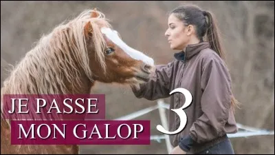 Quel est ton niveau ?