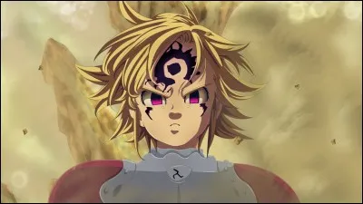 Quel âge a Meliodas ?