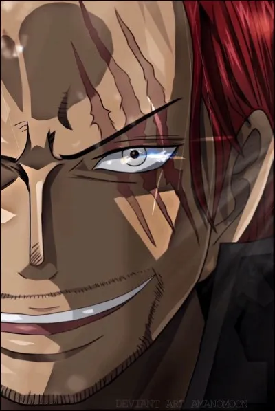 À qui Shanks le Roux dit-il cette phrase : "Ne t'en fais pas, un bras en moins, c'est pas un drame, ce qui est important c'est que tu sois sain et sauf." ? (One Piece)