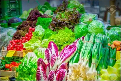 Les cochons d'Inde mangent...