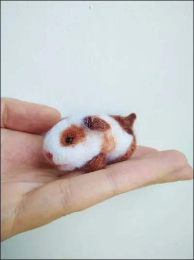 Qu'est-ce que le cochon d'Inde aime le plus ?