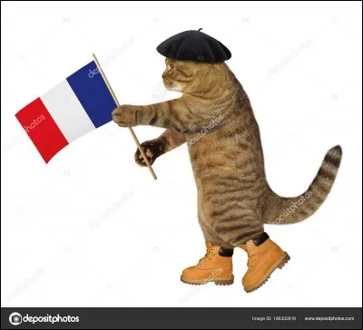 Combien de races de chats sont reconnues en France ?