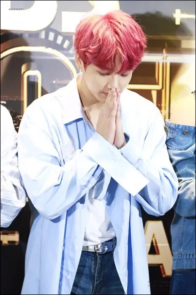 S'il n'était pas chanteur, il serait ...