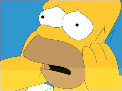 Quelle est l'expression que dit souvent Homer ?