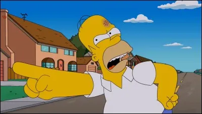 Quel est le deuxième prénom de Homer ?