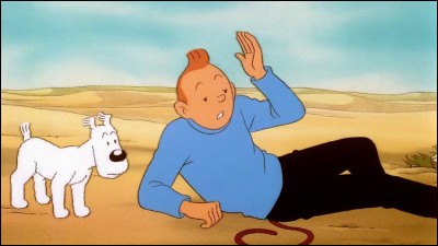 Comment s'appelle le capitaine qui accompagne Tintin ?
