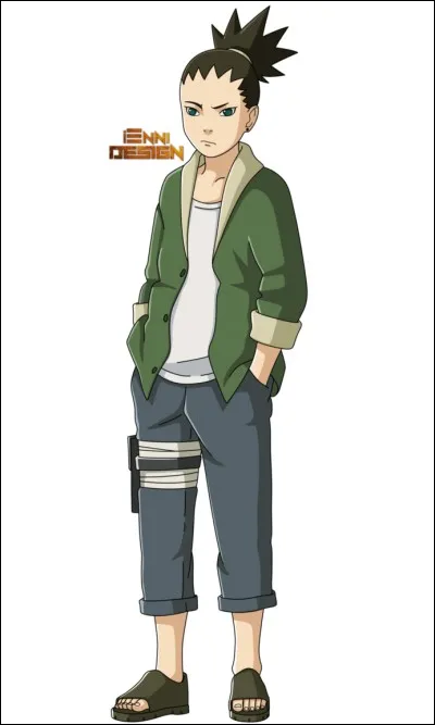 Quelle est l'expression favorite de Shikadai ?