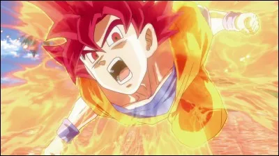 Comment Son Goku obtient-il la possibilité d'utiliser le Super Saiyen Divin ?