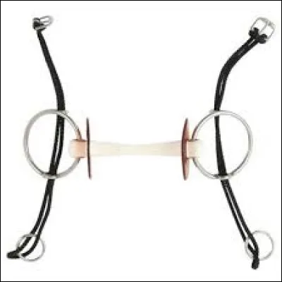 Quel est le nom de ce mors ?