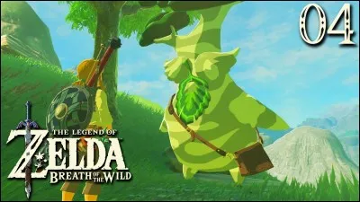 Comment s'appelle le Korogu à retrouver au début de Breath of the Wild ?