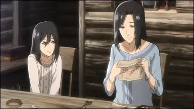 Pourquoi les parents de Mikasa ont-ils été massacrés et la petite fille enlevée ?