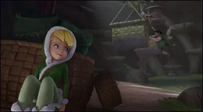 Comment les paniers arrivent-ils dans la forêt blanche ?