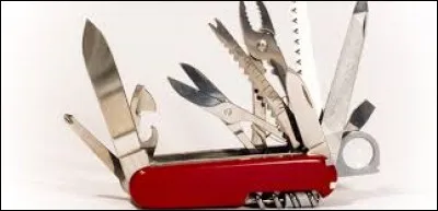 Qui étaient les adversaires de François 1er à Marignan ?