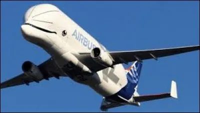 Quel nom porte l'esturgeon de la mer Caspienne, réputé pour son caviar ?