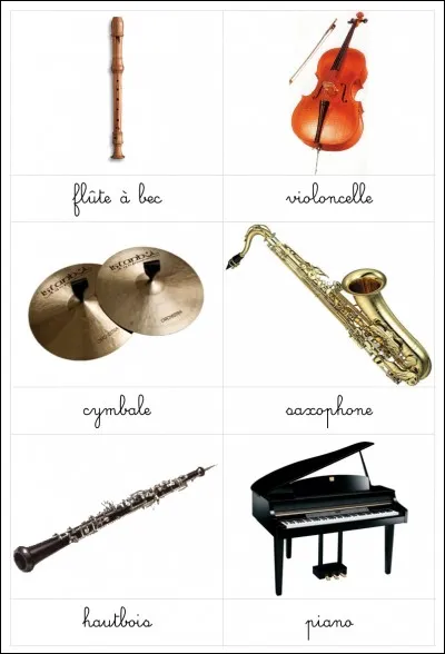 En France, combien de personnes jouent-elles d'un instrument ?