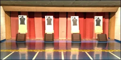 Tandis que d'autres s'entraînent au stand de...