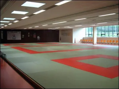 Dans cette salle avec des tatamis, les militaires ont la possibilité de pratiquer des sports de combat et de self- défense. Ceci est un(e)...