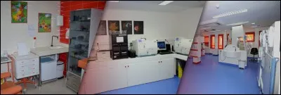 Parmi les choix proposés, quelle unité dispose de ce laboratoire qui leur permet d'effectuer des analyses comme récupérer des empreintes digitales ?