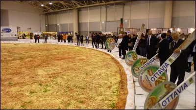 Combien mesurait la pizza la plus grosse du monde ?