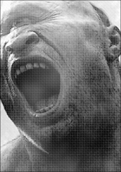 Son premier frère est l'éclair. Qui est-il ?