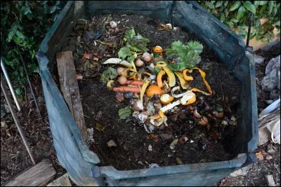 As-tu un compost ?