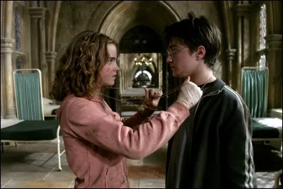Hermione sort avec quelqu'un dans ''Harry Potter et la coupe de feu''. Qui est-ce ?