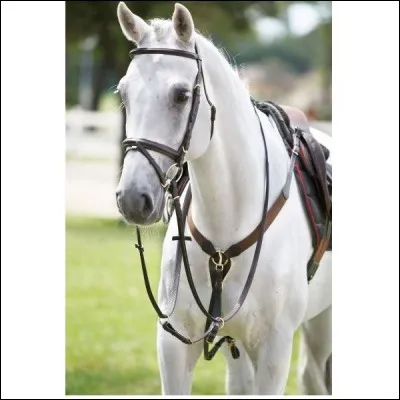 Comment cet équipement supplémentaire se nomme-t-il ?