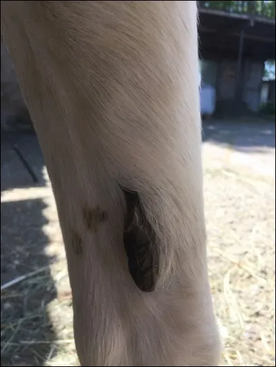 Qu'est-ce qui est représenté sur la photo ?