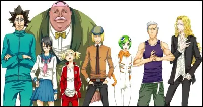 Qu'est-ce qu'un Vizard ?