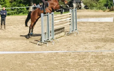 Quiz Galop 3