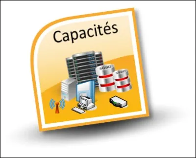 Quel objectif est visé par la gestion de la capacité ?