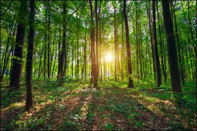 Enfin, quel est ton rapport à la nature ?