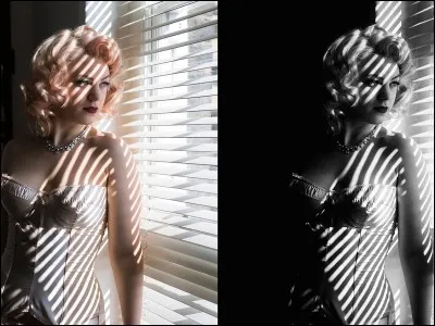 Qui est l'épouse du cinéaste Roman Polanski ?