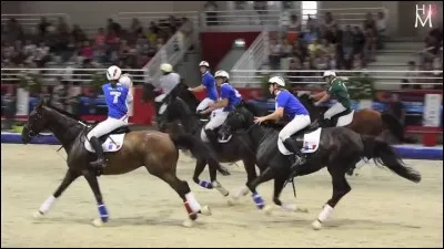 Quelle est cette discipline ?