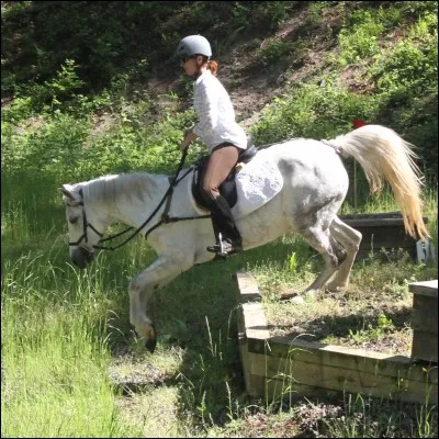 Cette discipline équestre est :