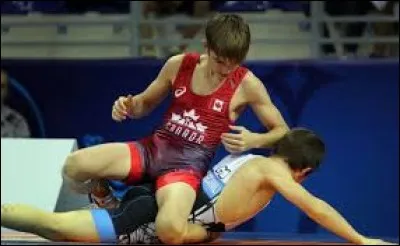 Qui pouvait se servir d'une "pandoura" ?