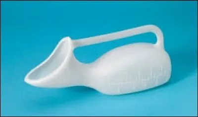 Un "Pamphile" n'est pas...