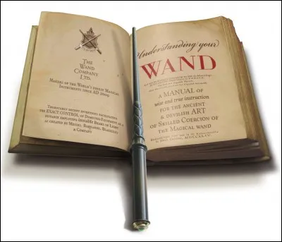 Tu te rends compte qu'un de tes amis, dans ta maison, a triché aux examens de fin d'année de Poudlard. Tu :