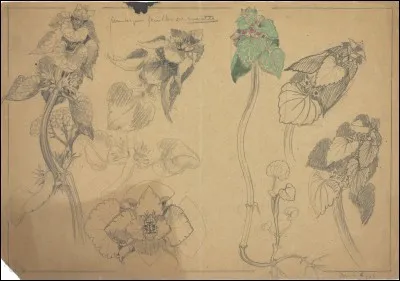 Par qui a-t-il été représenté ?