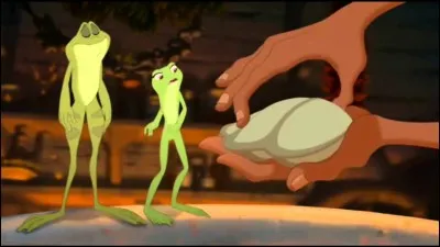 Dans quel oeuvre, une femme épouse-t-elle une grenouille ?