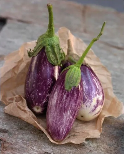 Quel légume est fréquemment utilisé dans la préparation d'un plat italien au parmesan ?