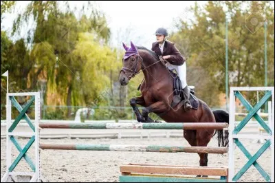 Lors d'une épreuve de CSO, si le cavalier chute, que se passe-t-il ?